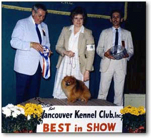 Sunny, Best in Show, Vancouver Kennel Club